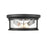 Millennium Lighting Bresley 2 Light Outdoor Flush Mount