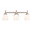 Millennium Lighting 3 Light Vanity Light, Satin Nickel/Etched White - 4423-SN