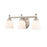 Millennium Lighting 3 Light Vanity Light 4423