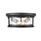 Millennium Lighting Bresley 2 Light Outdoor Flush Mount