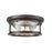 Millennium Lighting Bresley 2 Light Outdoor Flush Mount, Bronze/Clear - 4442-PBZ