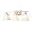 Millennium Lighting 3 Light Vanity Light 4503