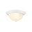 Millennium Lighting 13" 2 Light Flushmount 4603