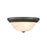 Millennium Lighting 13" 2 Light Flushmount 4603