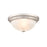 Millennium Lighting 13" 2 Light Flushmount 4603