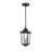 Millennium Eldrick 1 Light 13.5" Outdoor Hanging Lantern, Black/Clear - 4621-PBK