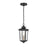 Millennium Eldrick Outdoor Hanging Lantern, Clear