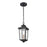 Millennium Eldrick Outdoor Hanging Lantern, Clear