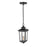 Millennium Eldrick Outdoor Hanging Lantern, Clear