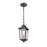 Millennium Eldrick 1 Light 13.5" Outdoor Lantern, Bronze/Clear - 4621-PBZ