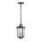 Millennium Eldrick Outdoor Hanging Lantern, Clear