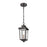 Millennium Eldrick Outdoor Hanging Lantern, Clear