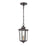 Millennium Eldrick Outdoor Hanging Lantern, Clear