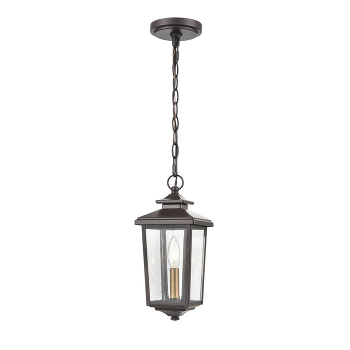 Millennium Eldrick Outdoor Hanging Lantern, Clear