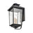 Millennium Eldrick Outdoor Hanging Lantern, Clear