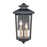 Millennium Eldrick Outdoor Hanging Lantern, Clear