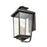 Millennium Eldrick Outdoor Hanging Lantern, Clear