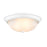 Millennium Lighting 13" 2 Light Semi-Flush