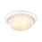 Millennium Lighting 13" 2 Light Semi-Flush