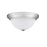 Millennium Lighting 11" 2 Light Flushmount 4901