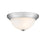 Millennium Lighting 11" 2 Light Flushmount 4901