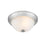 Millennium Lighting 11" 2 Light Flushmount 4901