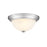 Millennium Lighting 11" 2 Light Flushmount 4901