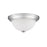 Millennium Lighting 11" 2 Light Flushmount 4901