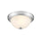 Millennium Lighting 11" 2 Light Flushmount 4901