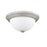 Millennium Lighting 11" 2 Light Flushmount 4901