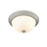 Millennium Lighting 11" 2 Light Flushmount 4901