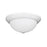 Millennium Lighting 3 Light Flushmount 4905