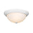 Millennium Lighting 3 Light Flushmount 4905