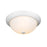 Millennium Lighting 3 Light Flushmount 4905