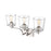 Millennium Lighting Evalon 3 Light Vanity