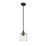 Millennium Lighting Evalon 1 Light Mini-Pendant, Matte Black/Clear - 497001-MB