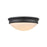 Millennium 1 Light 4.5" Flushmount Ceiling Light, Matte Black - 5221-MB