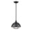 Millennium Lighting 1 Light Mini-Pendant, Matte Black