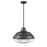 Millennium Lighting 1 Light Mini-Pendant, Matte Black