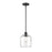 Millennium Lighting Asheville 1 Light Pendant, Matte Black/Clear - 6901-MB