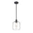 Millennium Lighting Asheville Pendant, Clear