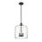 Millennium Lighting Asheville Pendant, Clear