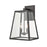 Millennium Lighting Grant 2 Light Outdoor Sconce, Clear