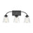 Millennium Josleen 3 Light 10" Vanity, Matte Black/Clear - 910"3-MB