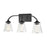 Millennium Josleen 3 Light 10" Vanity, Clear