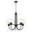 Millennium Lighting 5 Light Chandelier Ceiling Light, Black/Clear - 91205-MB