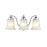 Millennium Lighting 18" 3 Light Vanity Light