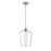 Millennium Lighting Ashford 1 Light Mini-Pendant, Nickel/Clear