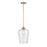 Millennium Lighting Ashford 1 Light Mini-Pendant, Modern Gold/Clear