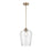 Millennium Lighting Ashford 1 Light Mini-Pendant, Modern Gold/Clear